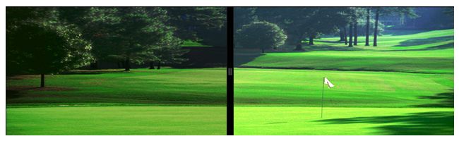 Grey Polarized Lens (Simulated) vs Naked Eye