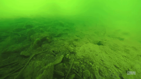 googan baits trench hawg