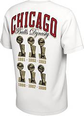 Nike Men's Chicago Bulls Dynasty White T-Shirt product image
