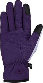 Seirus Women's Heatwave Soundtouch Sierra Fleece Gloves product image