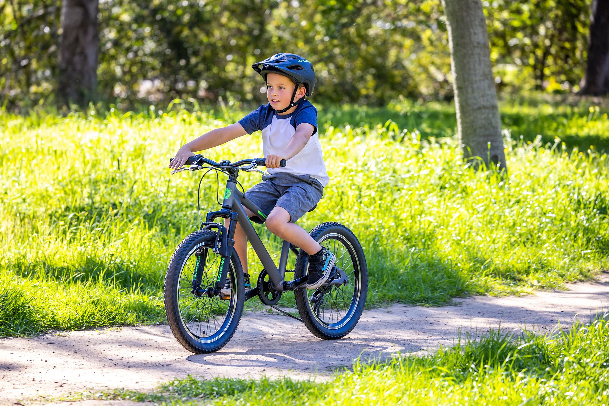 schwinn thrasher 20 bike