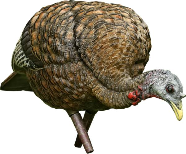 Avian X LCD Hen Feeder Turkey Decoy