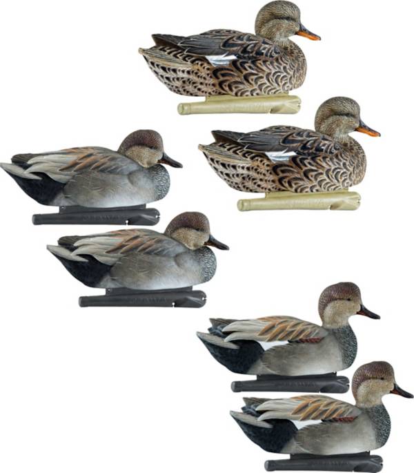 Avian-X Top Flight Gadwall Decoys - 6 Pack
