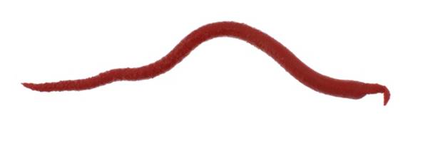 Berkley Gulp! Extruded Bloodworm Soft Bait