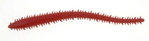 berkley-gulp-saltwater-sandworm-dick-s-sporting-goods