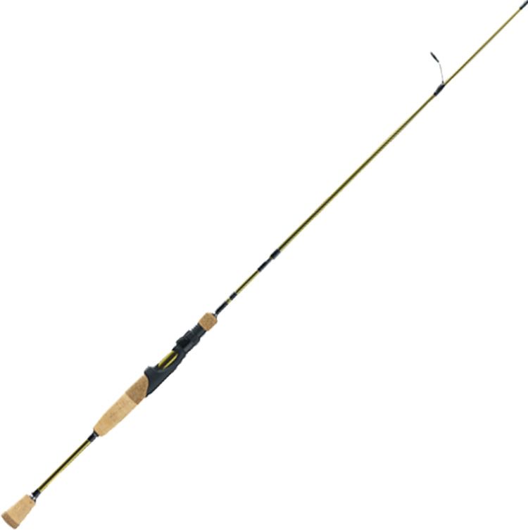 best casting rods for carp fishing