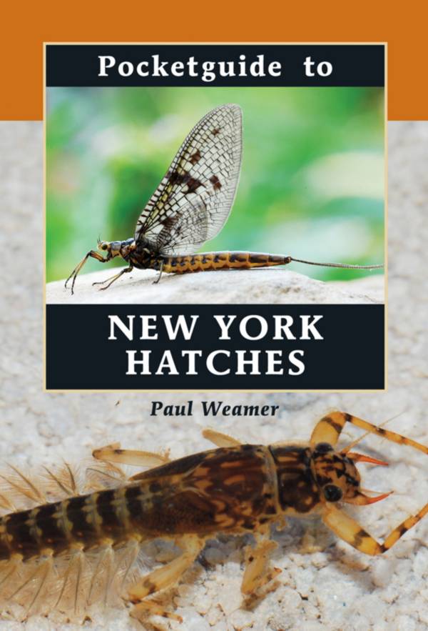 Pocketguide to New York Hatches