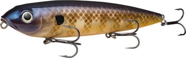 Strike King KVD Sexy Dawg Topwater Walking Bait | DICK'S Sporting Goods