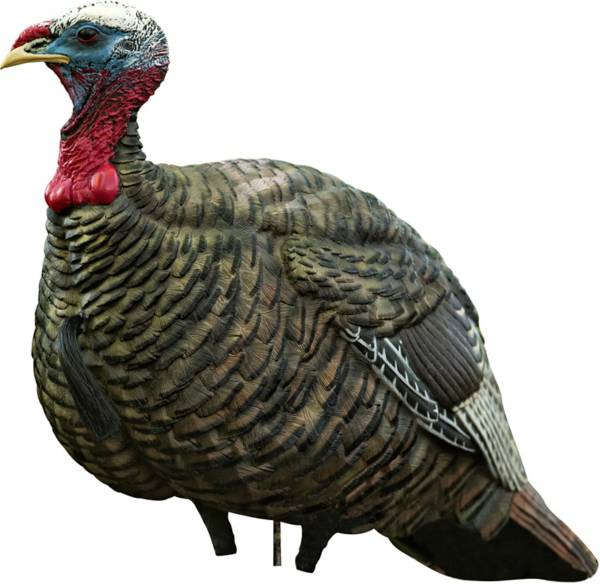 Avian X LCD Jake Turkey Decoy