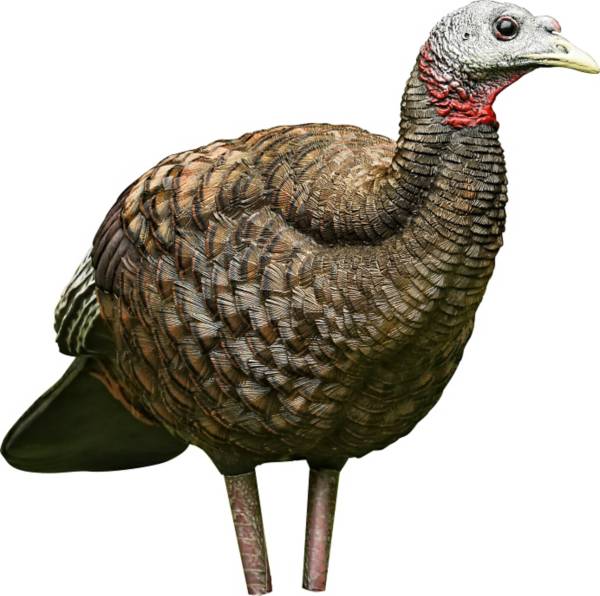 Avian X LCD Hen Breeder Turkey Decoy