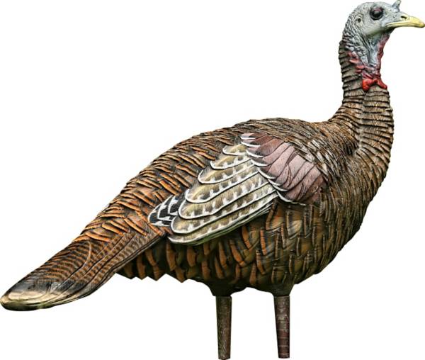 Avian X LCD Hen Lookout Turkey Decoy