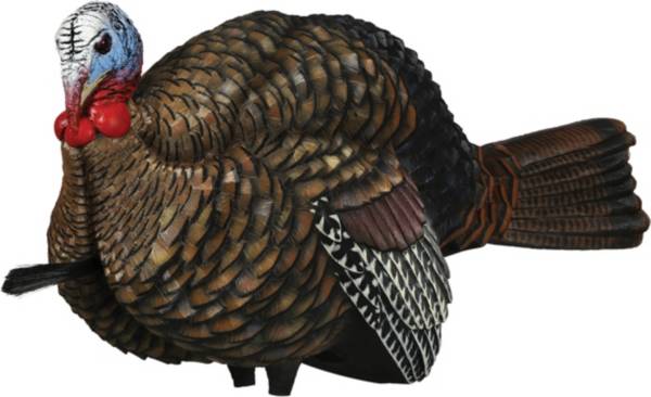 Avian-X LCD Half-Strut Jake Turkey Decoy