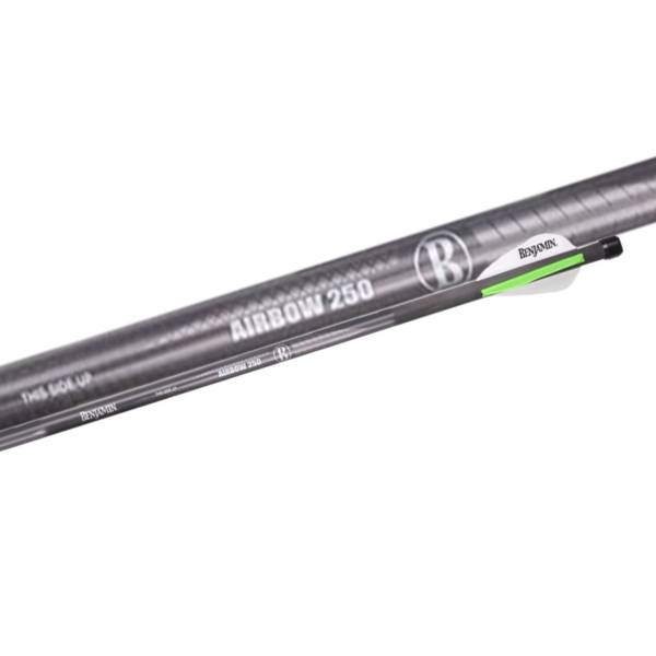 Benjamin Pioneer Airbow Carbon Arrows