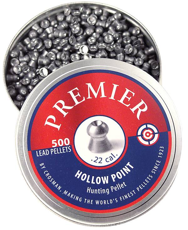 Crosman Hollow Point .22 Caliber Pellets - 500 Count