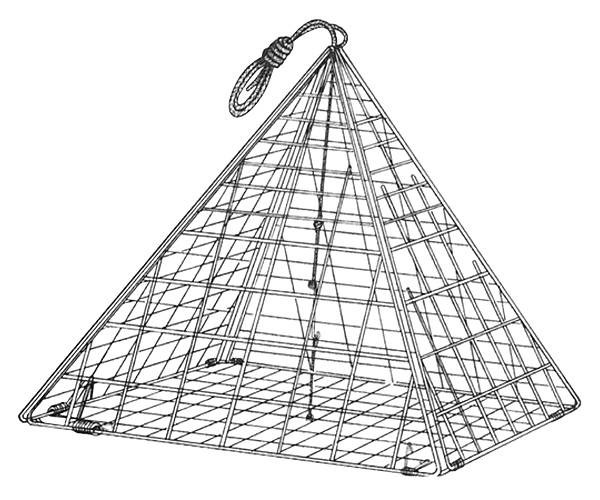 Eagle Claw Star Crab Trap