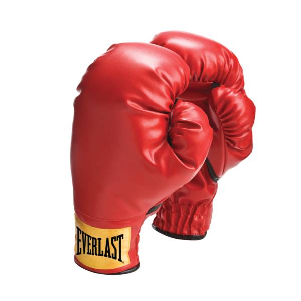 Everlast Youth Boxing Gloves product image