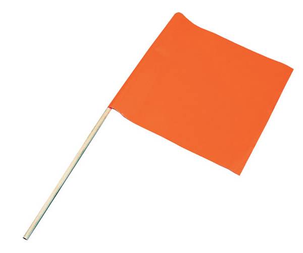 Airhead Water Ski Flag