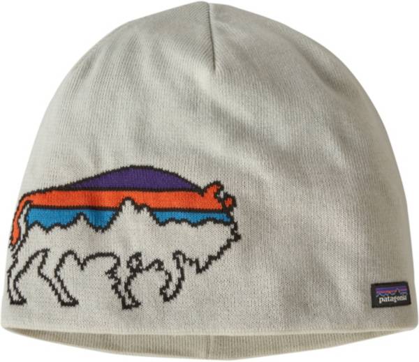 Patagonia Men's Beanie Hat product image
