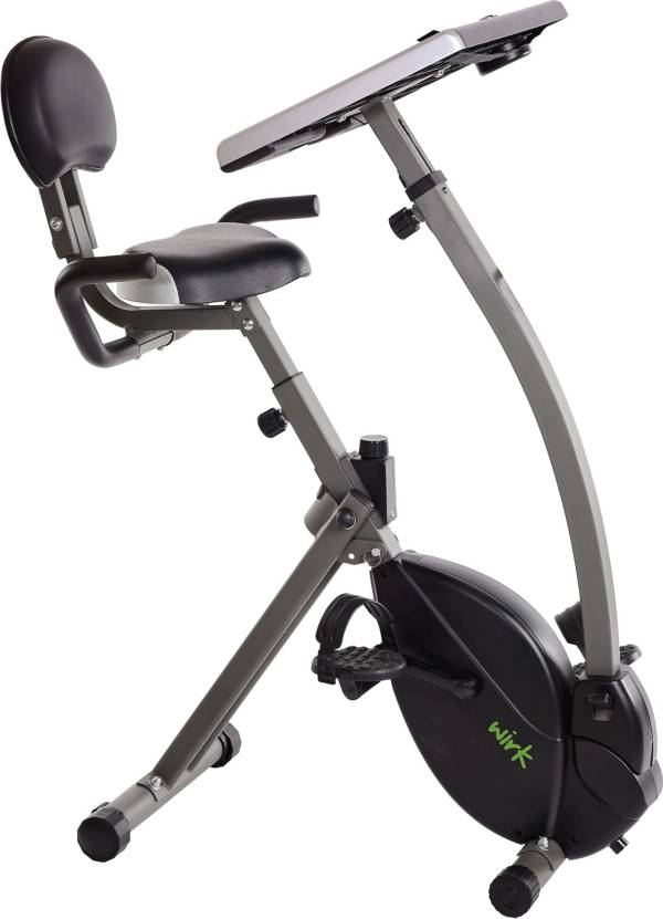 Stamina WIRK Ride Cycling Workstation