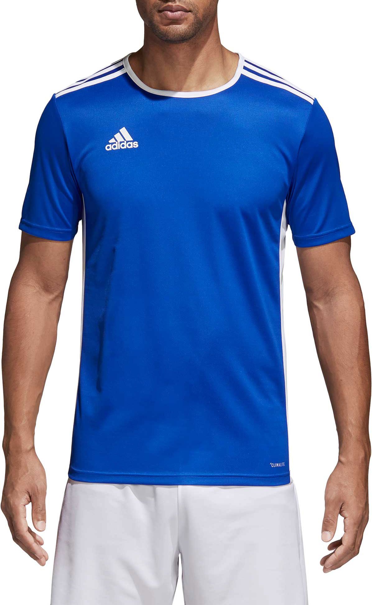 adidas entrada 18 jersey grey