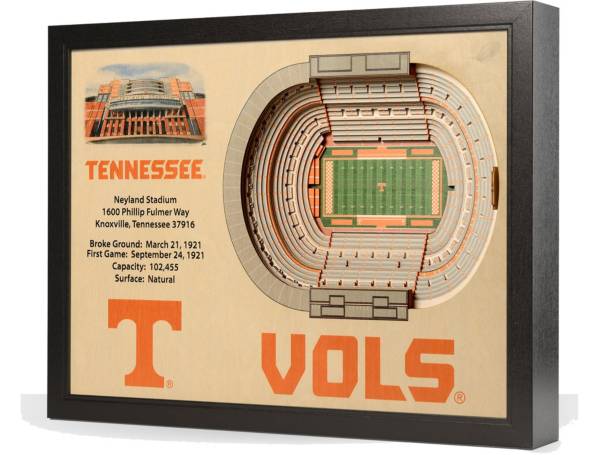 You the Fan Tennessee Volunteers 25-Layer StadiumViews 3D Wall Art