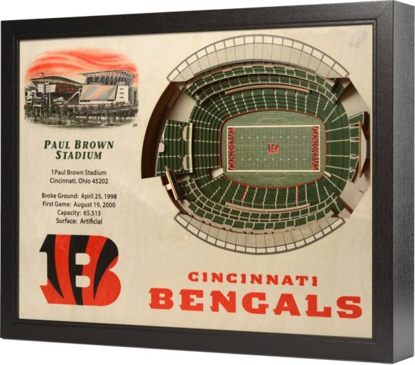 You the Fan Cincinnati Bengals 25-Layer StadiumViews 3D Wall Art