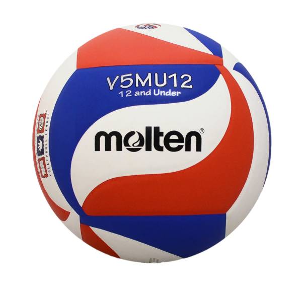 Molten Youth Indoor Volleyball product image