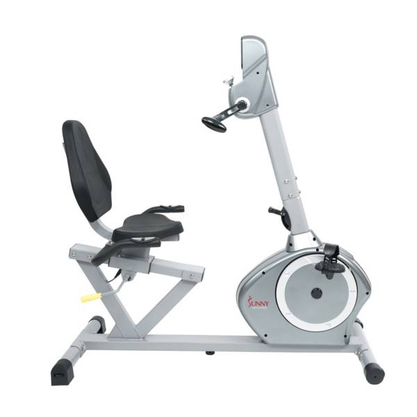 Sunny Health & Fitness SF-RB4631 Recumbent Bike with Arm Exerciser