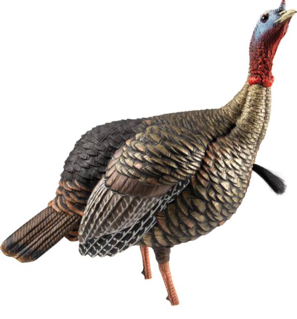 Avian Blow Molded Jake Turkey Decoy