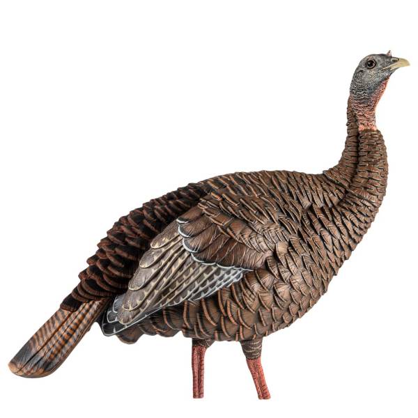 AvianX HDR Hen Decoy