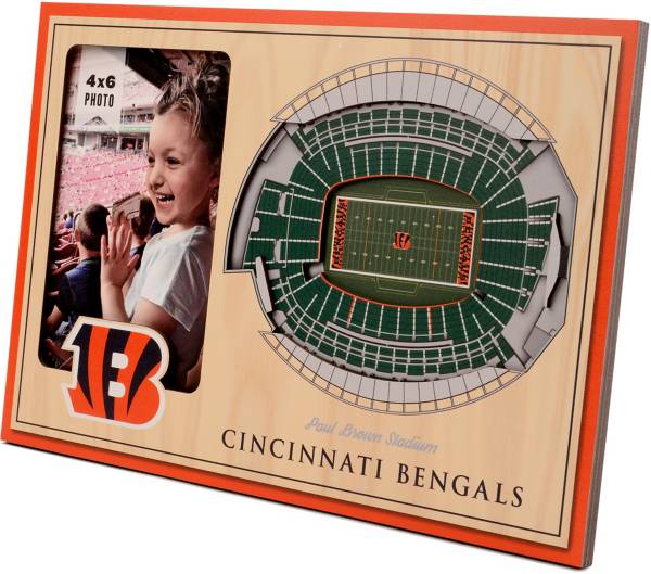 You the Fan Cincinnati Bengals 3D Picture Frame