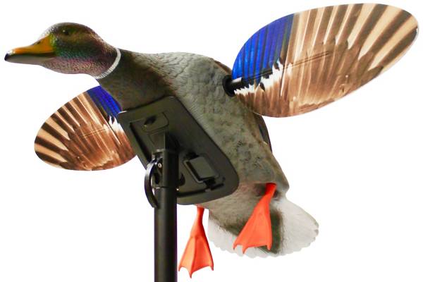 MOJO Outdoors Elite Series Mini Mallard Drake Decoy