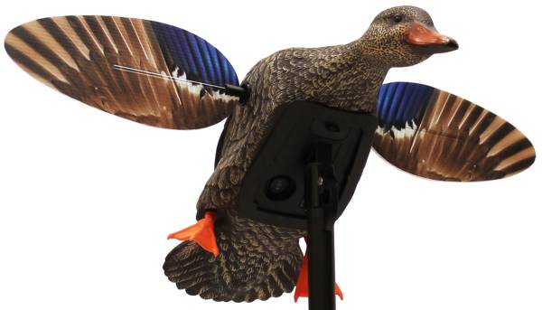 MOJO Outdoors Elite Series Mini Mallard Hen Decoy