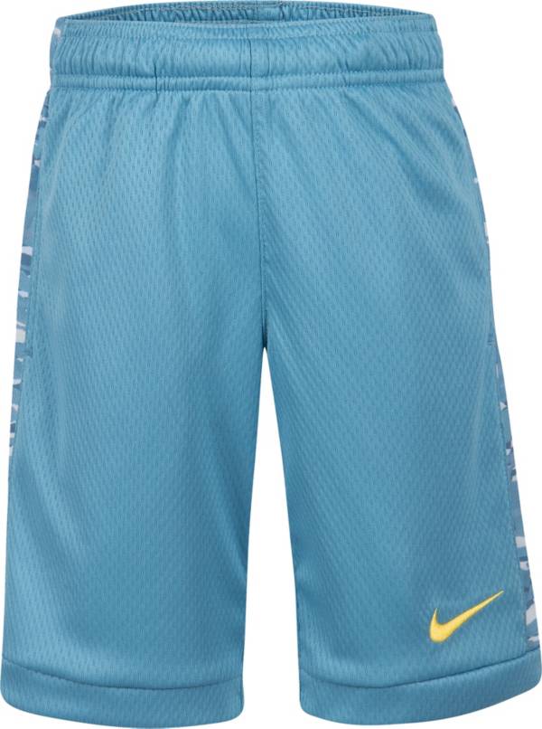 Nike Boys' Dri-FIT Trophy Shorts