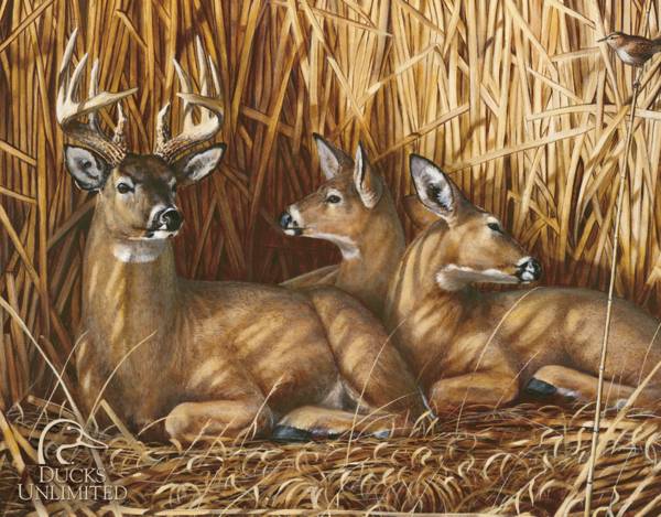 Ducks Unlimited Hideaway Tin Sign