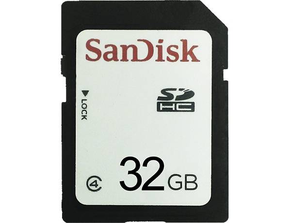 SanDisk 32 GB SD Card