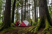 MSR Hubba Hubba NX 2-Person Backpacking Tent product image