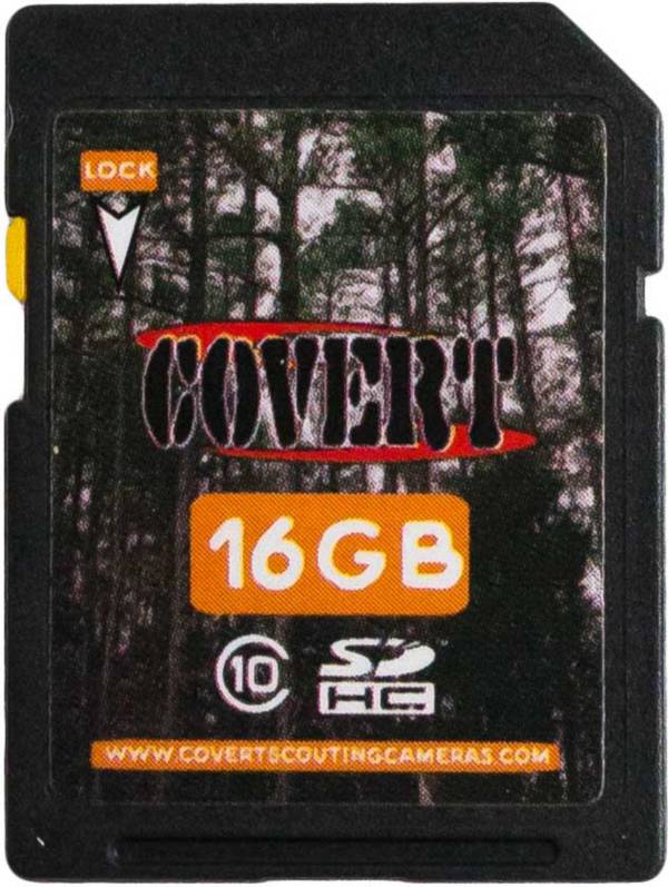 Covert 16GB SD Card