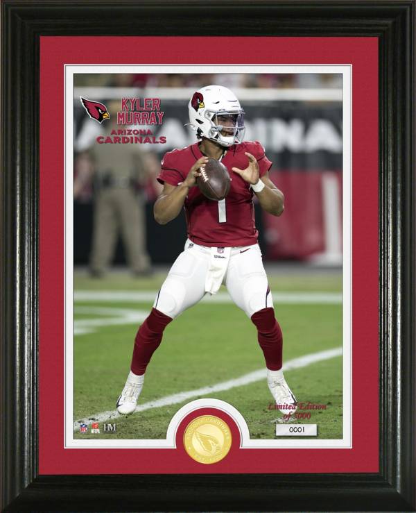 Highland Mint Arizona Cardinals Player Coin Photo Mint