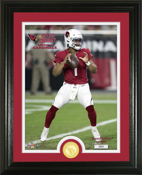 Highland Mint Arizona Cardinals Player Coin Photo Mint