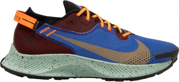 Nike Men's Pegasus Trail 2 GTX Trail Running Shoes