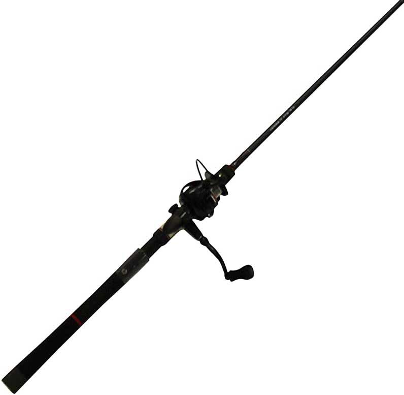 inshore spinning combo