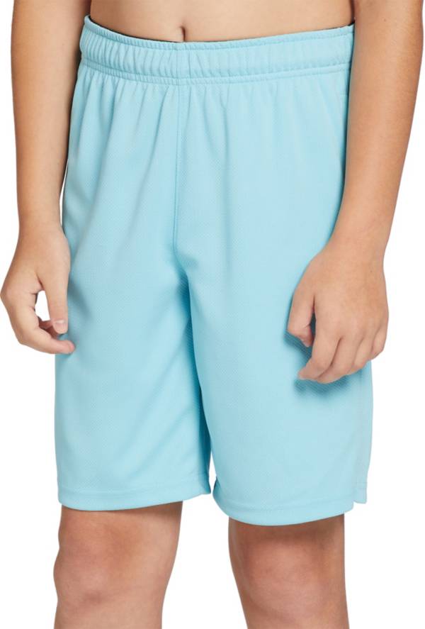 DSG Boys' Mesh Training Shorts
