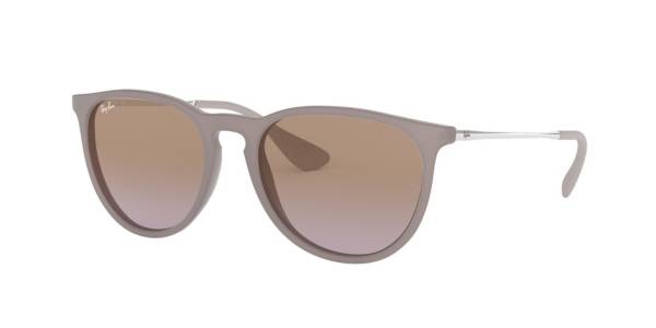 Ray-Ban Erika Classic Sunglasses