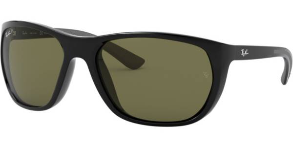 Ray-Ban 4307 Polarized Sunglasses