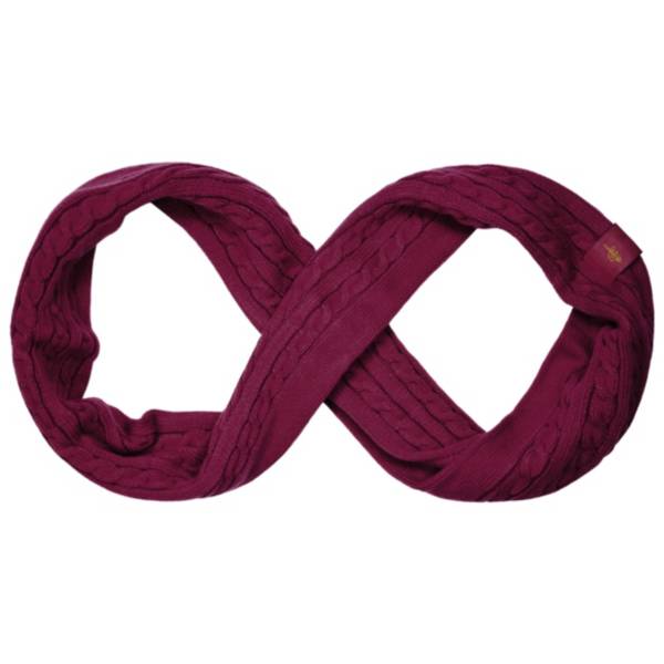 FOCO Cleveland Cavaliers Scarf