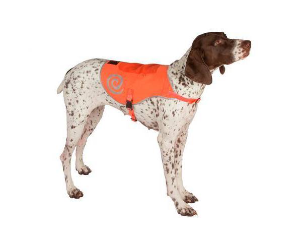 Ultra Paws Ultra Reflective Dog Safety Vest product image