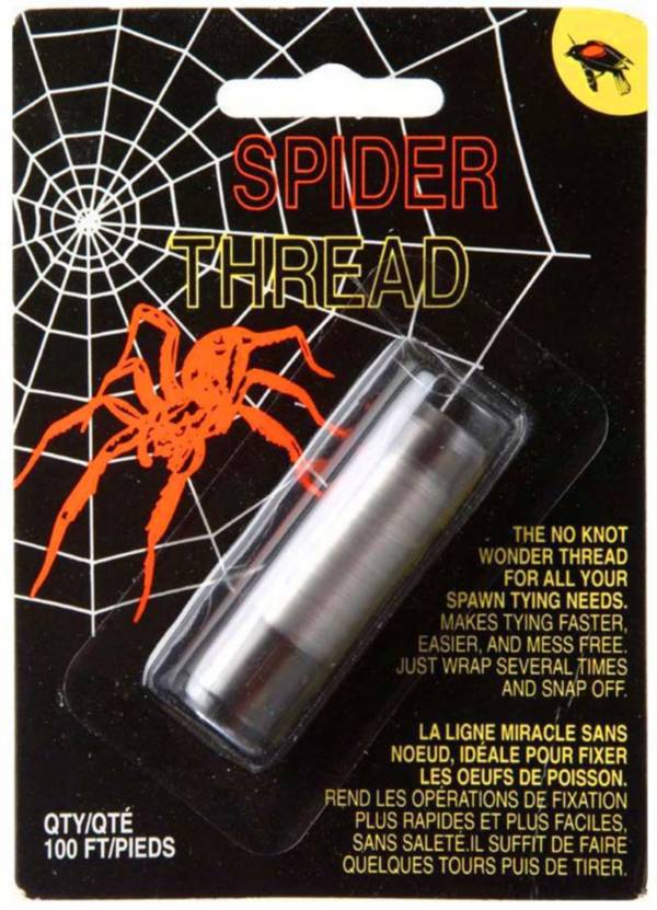 Blackbird Spider Thread