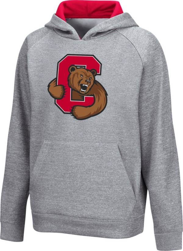 Colosseum Youth Cornell Big Red Grey Pullover Hoodie