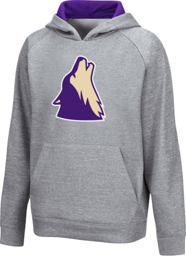 Colosseum Youth College of Idaho Yotes Grey Pullover Hoodie
